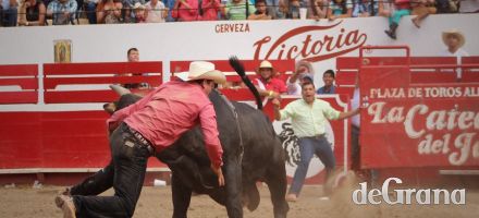 Video del último toro de once 2015