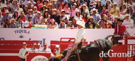Hasta luego toro de once